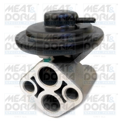 EGR Valve